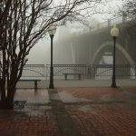 Nancy Ziccardi Photo 5