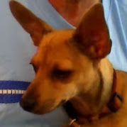 Thomas Hargrove Photo 34