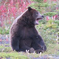 James Smail Photo 16