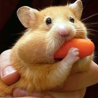 James Dailey Photo 29