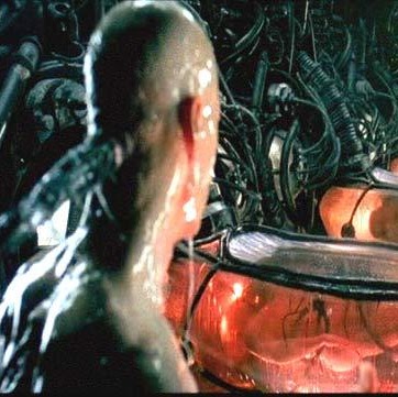 Rafael Crespo Photo 23