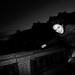 Alexander Tan Photo 16