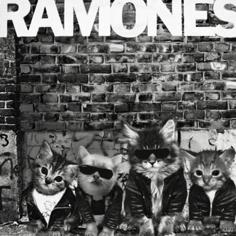 Cheryl Clifford Photo 7