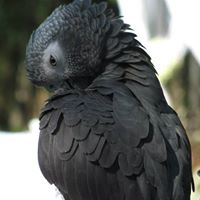 Barbara Graham Photo 43 Barbara Graham Photo 43