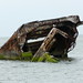 Joseph Violette Photo 8