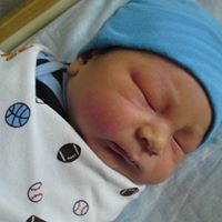 Alexander Forbes Photo 28