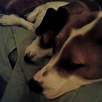 Kimberley Russell Photo 29