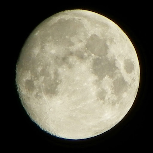 Lynn Wise Photo 29