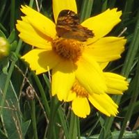 Jamie Whitten Photo 29