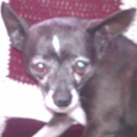 Rudy Benavidez Photo 10