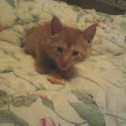 Matthew Deloach Photo 12