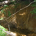 Virginia Root Photo 17