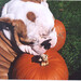 Bessie Brown Photo 14
