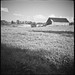 Diana Fields Photo 48