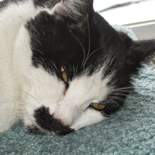 Janie Roberts Photo 13