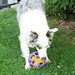 Susan Franklin Photo 37