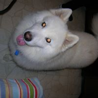 Gretchen Robertson Photo 8