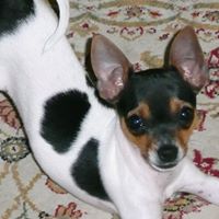 Dale Mcclure Photo 11