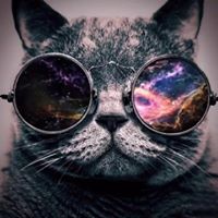 Tracy Willis Photo 10