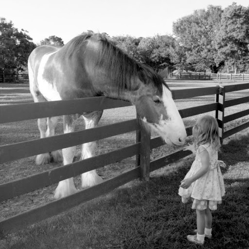 Danielle Knapp Photo 6