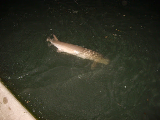 Gordon Watts Photo 37