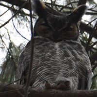 Lori Benoit Photo 24