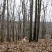 Laurie Webb Photo 33
