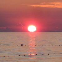 Julie Ashton Photo 9