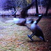 Christopher Carroll Photo 49