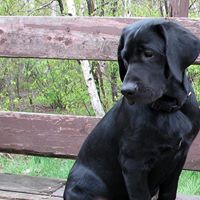 Bruce Irwin Photo 32