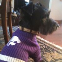 Susan Worrell Photo 12