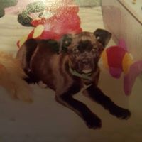 Catherine Humphrey Photo 7