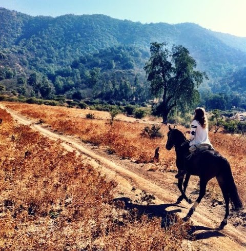 Caitlin Lowe Photo 14