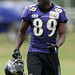 Mark Mcdaniel Photo 36