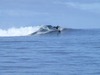 Chris Rodgers Photo 11