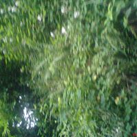 Chris Watts Photo 36