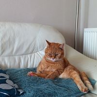 Millie Watson Photo 9