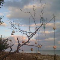 Andrew Burke Photo 29