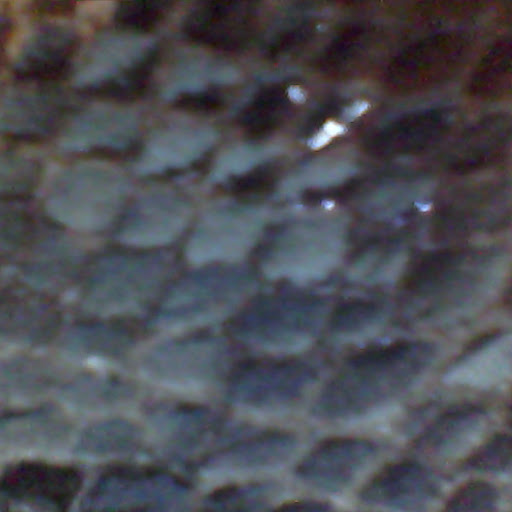 Barbara Montgomery Photo 16