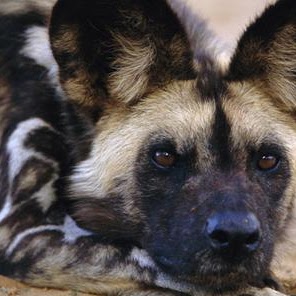 Jillian Hughes Photo 16