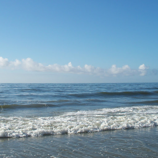 Vicki Fenstermaker Photo 3