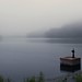 Dawn Cox Photo 13