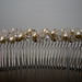 Crystal Combs Photo 37