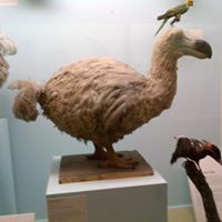 Marie Moffitt Photo 20