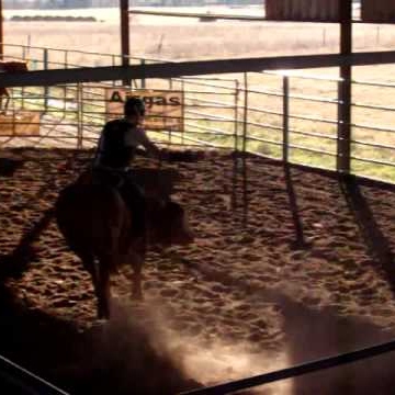 Ronald Jordan Photo 15 Ronald Jordan Photo 15