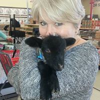 Kathy Kessler Photo 19