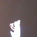 Sharon Roscoe Photo 18