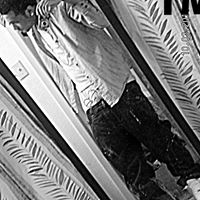 Tony Jenkins Photo 9