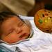 William Madden Photo 13