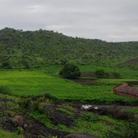 Dipti Patel Photo 9